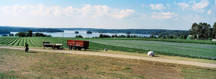 Hämeenkyrö P35, 6.7.2001 © Tapio Heikkilä/ Visuaalinen maisemaseuranta/ MTT:n arkisto