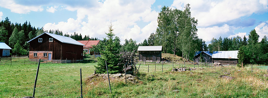 Vesilahti P39, 12.7.2001 © Tapio Heikkilä/ Visuaalinen maisemaseuranta/ MTT:n arkisto